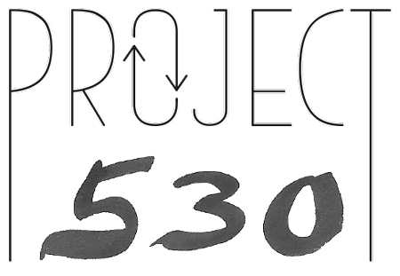 Sina Steidinger - Project 530 Logo